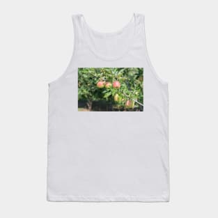 Okanagan Valley Apples and Summer Sunshine Tank Top